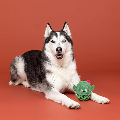 Fringe Studio Rubber Dog Toy, Prickly BUT Sweet, Pet Shop Collection (519055)