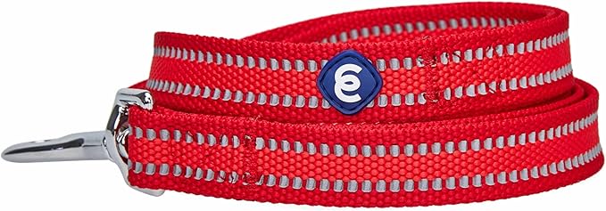Blueberry Pet Essentials Reflective Back to Basics Matching Dog Harness and Leash Set, Rouge Red, Adjustable Harness with 4 ft Leash for Large Dogs