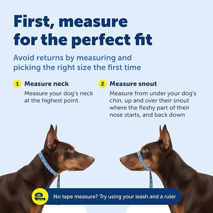 PetSafe Gentle Leader Headcollar No-Pull Dog Collar - Helps Improve Walks - Durable Nylon Construction - Padded Nose Loop - Adjustable Fit - Comfort Walking Halter - Medium, Raspberry Pink