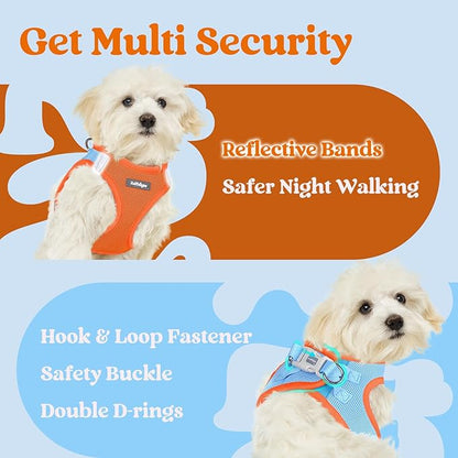 rabbitgoo Small Dog Harness, Step-in Soft Mesh Puppy Vest with Safety Buckle, Breathable Reflective Pet Harness for Extra Small Dogs, Blue & Orange XXS
