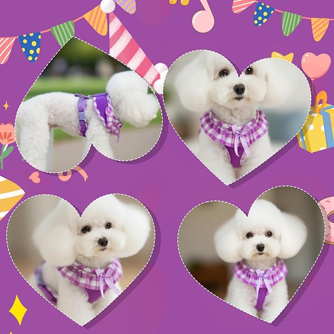 EXPAWLORER Cute Dog Harness and Leash Set - Purple Girl Dog Harness Checkered Step-in Design, Easy Adjustable No-Choke Lightweight Breathable Vest for Puppy Small Dogs Cats Outdoor Walking, X-Small