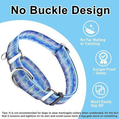 Reflective Martingale Collar for Dogs Nylon Training Collar with No Buckle, No Pull Adjustable Dog Collar for Large Dogs（Blue Starfish，L）