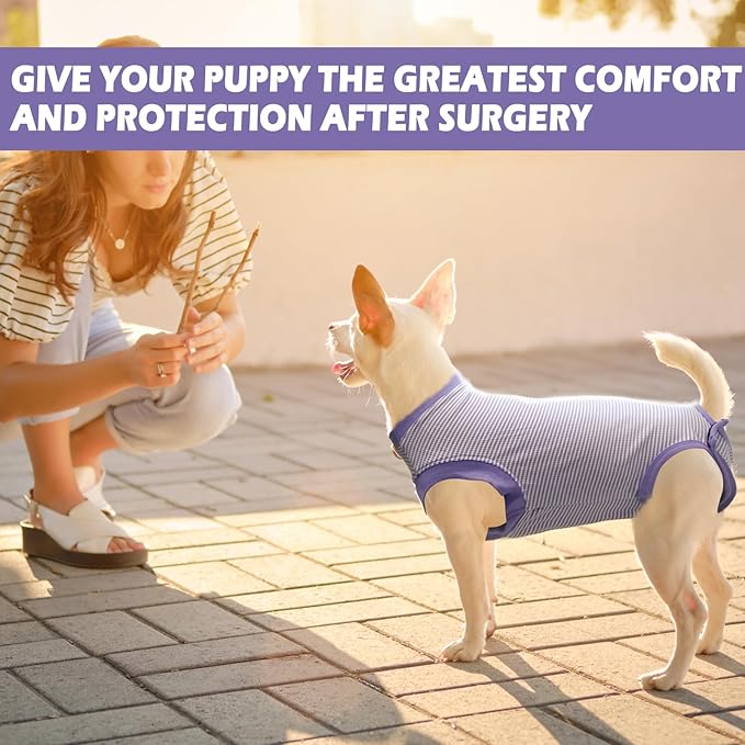 Dog Surgery Recovery Suit, Surgical Recovery Suit for Dog Male Female Neuter, Spay Shirt Onesie for Post Surgery, Cone Alternative Purple, Small