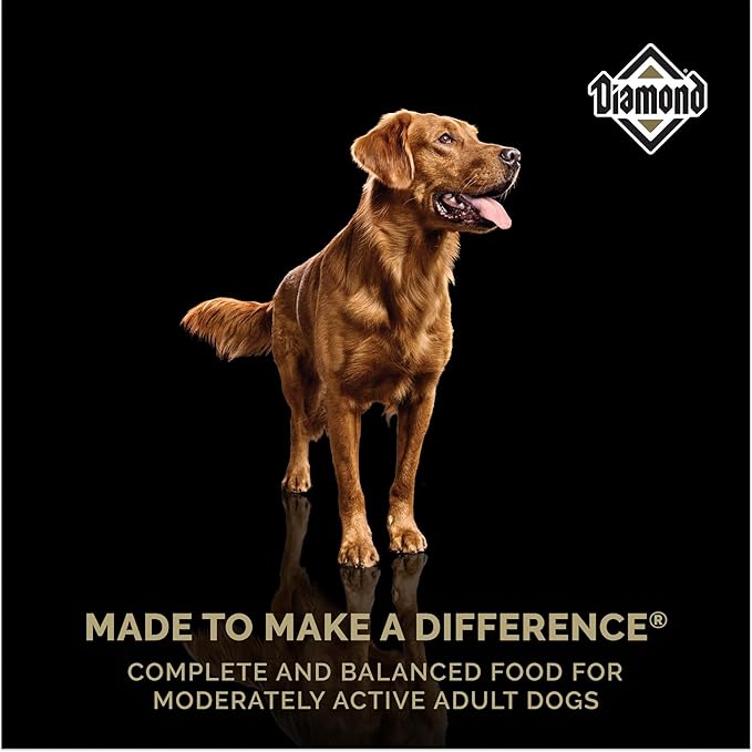 Diamond Maintenance Adult Dry Dog Food 22/12 for Moderately Active Dogs 20lb Bag