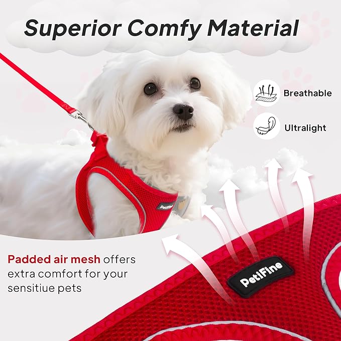 PetiFine Step in Small Dog Harness and Leash Set, Breathable All Weather Air Mesh Reflective Escape Proof, Step-in Vest Harnesses for Puppy(S, Red)