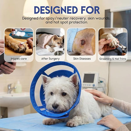 ASENKU Dog Cone Collar, Protective Recovery Dog Collar After Surgery, Comfy Adjustable Cone for Dogs to Stop Licking, Pet E-Collar for Small, Medium & Large Dogs(Blue, XL)
