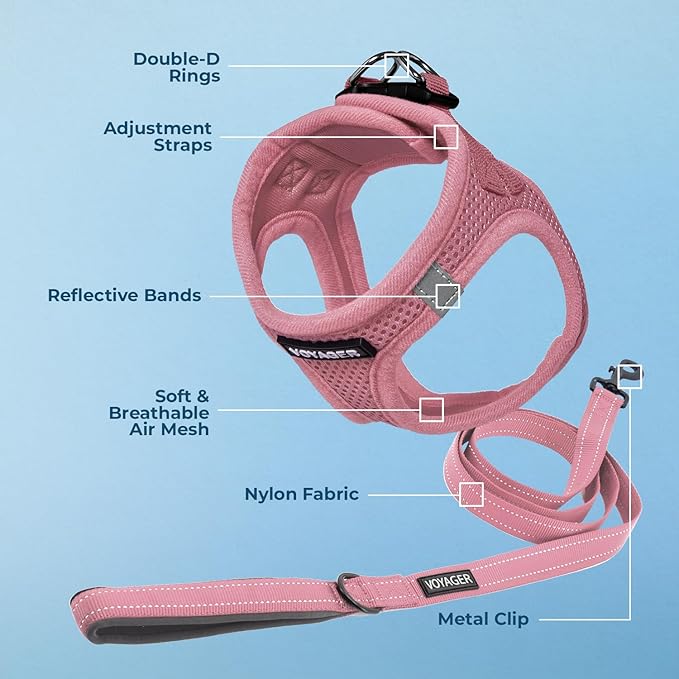 Best Pet Supplies Voyager Step-in Air All Weather Mesh Harness and Reflective Dog 5ft Leash Combo with Neoprene Handle, for Small, Medium and Large Breed Puppies - Set (Pink), Small