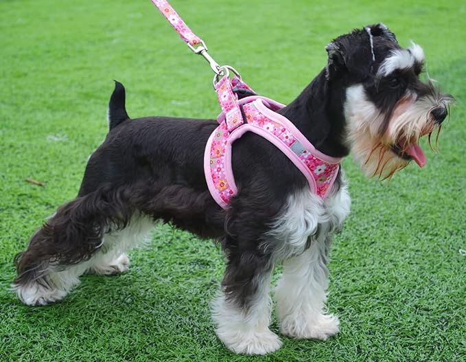 Moonpet Step in Dog Harness Leash Set- All Weather Reflective No-Pull Floral Pattern Padded Mesh Vest Harness for Cats Puppy Extra-Small Small Medium Large Dogs - Pink Flower - XS