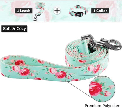 Ihoming Dog Collar and Leash Set for Daily Outdoor Walking Running Training, Floral Spring Design for Small Boys Girls Dogs Cats Pets, S-Up to 20LBS