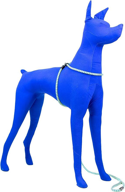 Harness Lead No Pull Dog Harness and Leash Set, Anti Pull Dog Harness, One-Piece Cushioned Rope Safely Prevents Escaping and Pulling (Medium/Large, Peacock/Blue/Lime)