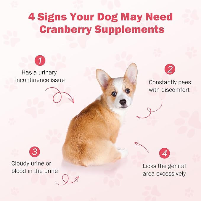 Cranberry for Dogs, 120 Chewable Tablets, UTI Treatment for Dogs, Urinary Tract Support, Promote Kidney and Bladder Health, Cranberry Supplement for Dog