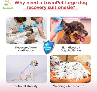 LovinPet Dog Surgical Recovery Suit for Female & Male - Anti-Licking Protection, Full Body Coverage, Anti-Shedding