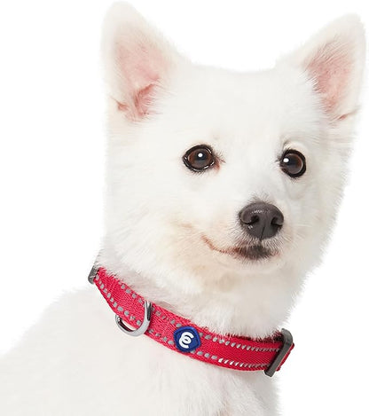 Blueberry Pet Essentials Reflective Dog Collar & Leash Set, Adjustable for Large Dogs | Safe Walking Gear for Pet Parents, Puppy Training & Daily Use LargeDogs, Very Berry