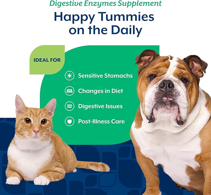 NaturVet – Digestive Enzymes - Plus Probiotics & Prebiotics – Helps Support Diet Change & A Healthy Digestive Tract – for Dogs & Cats – 10 oz Powder