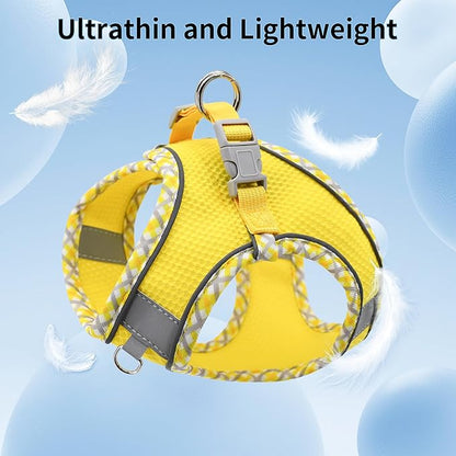 AIITLE XXS Dog Harness & Leash Set - Breathable Reflective No-Choke Small Dog Harness for Teacup Puppies, Indoor/Outdoor Use - Boston Terrier, Maltese, Chihuahua (Yellow, XXS)