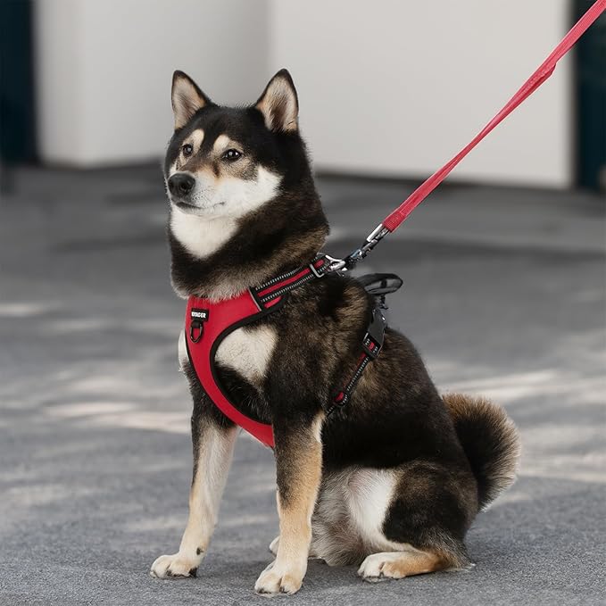 Voyager Dog Harness Dual Leash Attachment No-Pull Control Adjustable Soft but Strong Pet Harness for Medium and Large Dogs with 3M Reflective Technology, Leash Set Red Nylon, L (Chest: 25-30")