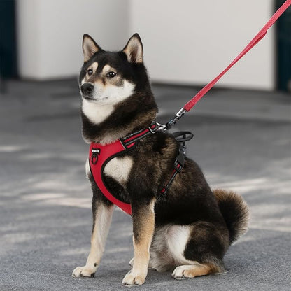 Voyager Dog Harness Dual Leash Attachment No-Pull Control Adjustable Soft but Strong Pet Harness for Medium and Large Dogs with 3M Reflective Technology, Leash Set Red Nylon, XL (Chest: 28-37")