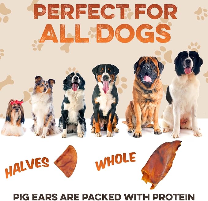 BRUTUS & BARNABY Whole Pig Ears for Dogs, 25 Ct. – All-Natural Single Ingredient Dog Chews, Slow Cooked & Fully Digestible Rawhide Alternative