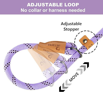 5 FT Slip Lead Dog Leash, Heavy Duty Rope Leash for Small Medium Large Dogs, No Pull Training Lead with Reflective Thread, Strong Comfortable Loop Leash (Lavender Stripe, Medium(3/8"))