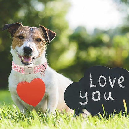 ARING PET Girl Dog Collar, Cute Spring Summer Pink Bow Puppy Pet Collars Necklace for Small Medium Large Female Dogs-XL
