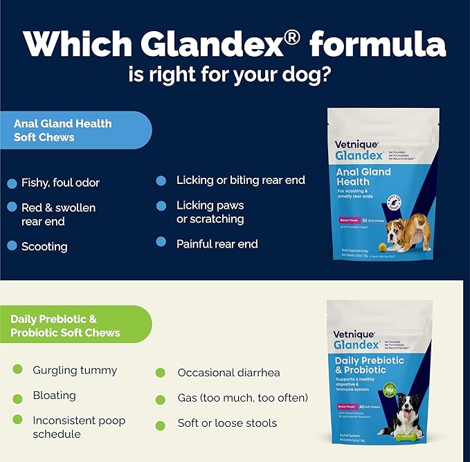 Vetnique Glandex Daily Probiotics for Dogs with Prebiotics to Support Gut Health, Diarrhea with Fiber and Digestive Enzymes, Dog Probiotic Powder (8.5oz Powder, Pork Powder)