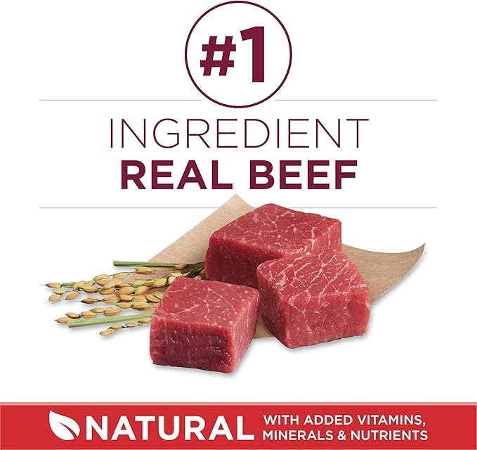 Purina ONE Small Bites Beef and Rice Formula Small High Protein Dry Dog Food Natural With Added Vitamins, Minerals and Nutrients - 8 lb. Bag