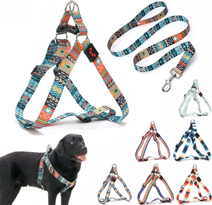 Dog Harness and Leash Set, Pretty Pattern No-Pull Pet Halter Puppy Vest Outdoor Easy Walk for Small Medium Large Breed Pug Bully Mastiff Dogs Female Male, Ethnic M