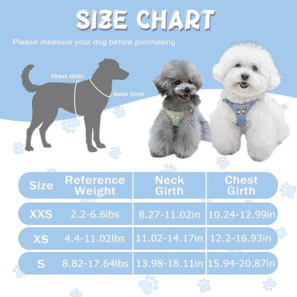 No Pull Dog Harness and Leash Set for Small Sized Dog Training Puppy Harnesses with Multifunction Dog Leash Soft Adjustable Denim No Choke Escape Proof Pet Harness for Small and Medium Dog (Blue XXS)