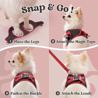 rabbitgoo Dog Harness Small Sized and Leash Set, Step-in Breathable Pet Harness, Soft Walking Reflective Puppy Vest for Small Dogs, Black & Red, S
