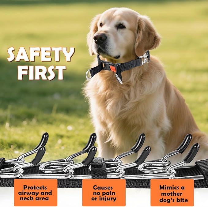Dog Training Collar, Stainless Steel with Soft Rubber Cap, Adjustable with Quick Release Buckle (M)