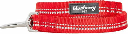 Blueberry Pet 3M Reflective Pastel Color Dog Leash with Soft & Comfortable Handle, 4 ft x 1", Red, Large, Leashes for Dogs