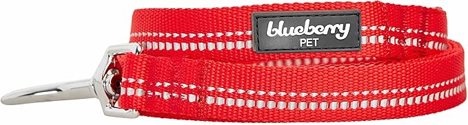 Blueberry Pet 3M Reflective Pastel Color Dog Leash with Soft & Comfortable Handle, 5 ft x 5/8", Red, Small, Leashes for Dogs