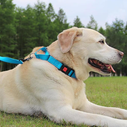 Joytale Martingale Collar for Dogs, Reflective Heavy Duty for Safety, Quick Release Buckle, Adjustable Nylon Collars for Puppy and XSmall Dogs Walking Training, Sky Blue,XS