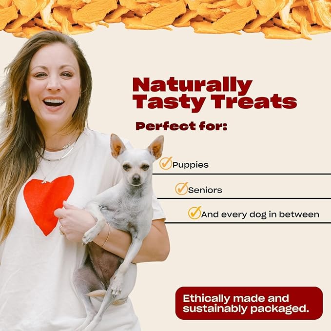 OH NORMAN! Two-Ingredient Pumpkin Dog Treats by Kaley Cuoco, Healthy Dog Treats for All Life Stages and Breeds, Air Dried, Ethically Sourced in Canada, 6 Oz