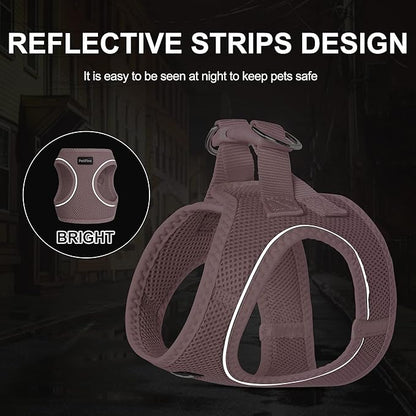 PetiFine Extra Small Step in Dog Harness and Leash Set, Cat Harness and Leash Escape Proof, All Weather Mesh Reflective, Step-in Air Vest Harnesses for Puppy(XXXS, Pink)