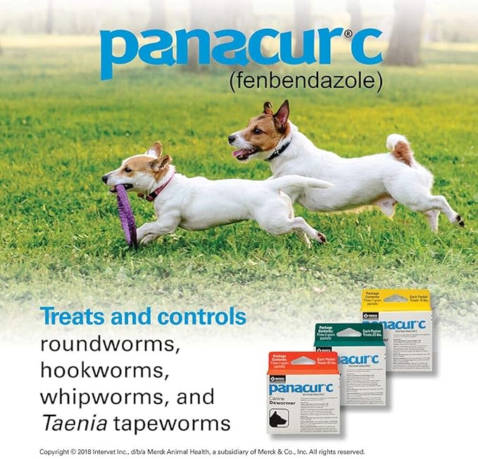 Panacur C Canine Dewormer (Fenbendazole), 1 Gram, Yellow, 3 Count (Pack of 1)