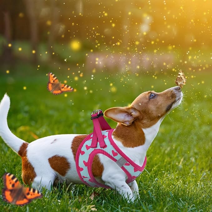 KOOLTAIL Valentines Dog Harness and Leash Set for Small Medium Dogs, Step in No Pull Soft Mesh Dog Harness Padded Pet Vest, Adjustable Reflective Easy Walking Puppy Harnesses Training, Pink Heart S