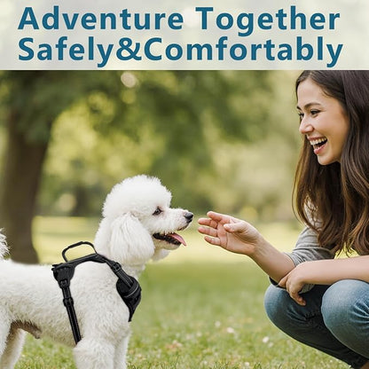 BARKBAY Dog Harness No Pull with ID Tag Pocket - Heavy Duty, Reflective, Easy Control for Small Dogs(Black,S)