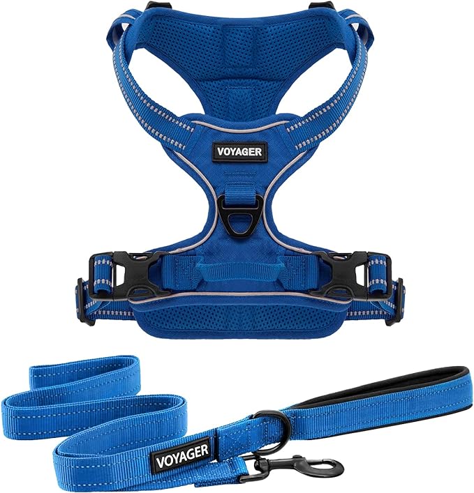 Voyager Dog Harness Dual Leash Attachment No-Pull Control Adjustable Soft but Strong Pet Harness for Medium and Large Dogs with 3M Reflective Technology, Leash Set Royal Nylon, XL (Chest: 28-37")