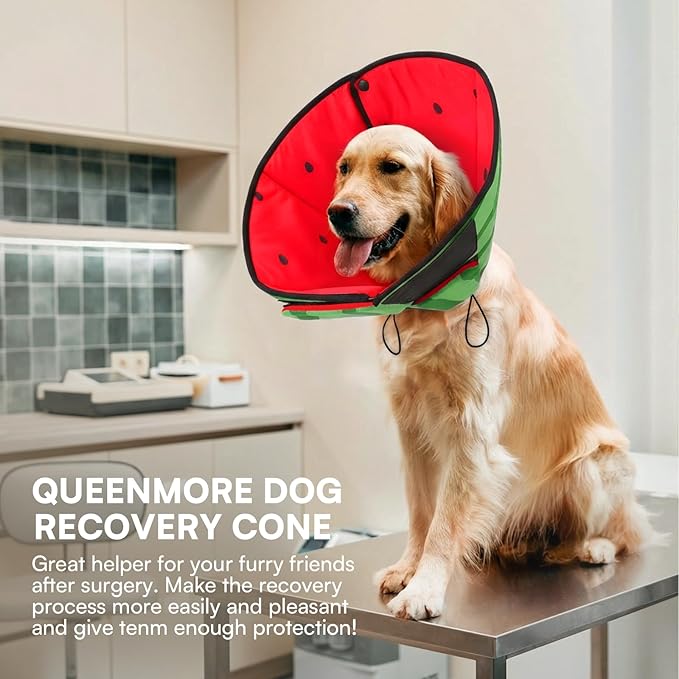Queenmore XL Dog Cone, Soft Dog Cones for Large Dogs After Surgery, Cone for Dogs to Stop Licking, Pet Elizabethan Collar, Alternative to Recovery Collar for Pets, Watermelon XL