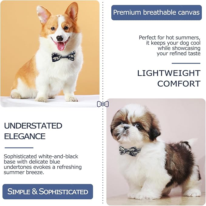 Bowtie Collars for Medium Dogs, Elegant Collars with Leash Set, Dog Collars with Bowtie Adjustable 13.8"-17.7", Black, M