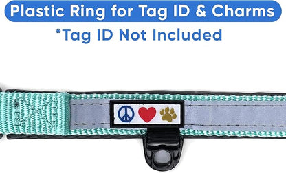 Pawtitas Lumberjack Padded Martingale Collar for Dogs | Soft Neoprene Dog Collar for Your pet's Comfort Made with Reflective Band for Maximum Visibility | Fits Small and Large Pets - XS Teal