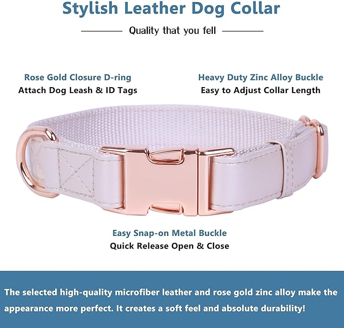 Soft Leather Dog Collar and Leash (6.6') Set - Stylish Rose Gold Heavy Duty Metal Buckle, 4 Adjustable Lengths Leash for Small Medium Large Dogs - Comfortable & Easy to Clean M(13.8"-19.7"), Gold Pink