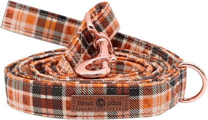 Lionet Paws Dog Leash for Small Dogs, Orange, Blue, Extra Small, 5/8in x 4ft