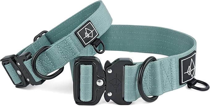 Made to ROAM Premium Dog Collar - Adjustable Heavy Duty Nylon Collar with Quick-Release Metal Buckle (Florida Seaside, Classic Size 5)