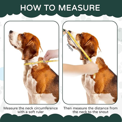 Soft Dog Cone Collar for Large Dogs, Mesh Windows Transparent E Collar for Dog, Anti-Bite Lick Wound Healing After Surgery Neuter Safety Practical Comfy Plastic Cone (Black, M)