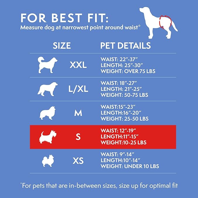 Simple Solution Female Dog Diapers – Disposable Diapers for Potty Training, Incontinence, and Heat Cycle Protection – Leak-Proof Fit for Small Dogs, 12–19 Inch Waist – 30 Count