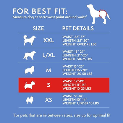 Simple Solution Female Dog Diapers – Disposable Diapers for Potty Training, Incontinence, and Heat Cycle Protection – Leak-Proof Fit for Small Dogs, 12–19 Inch Waist – 30 Count