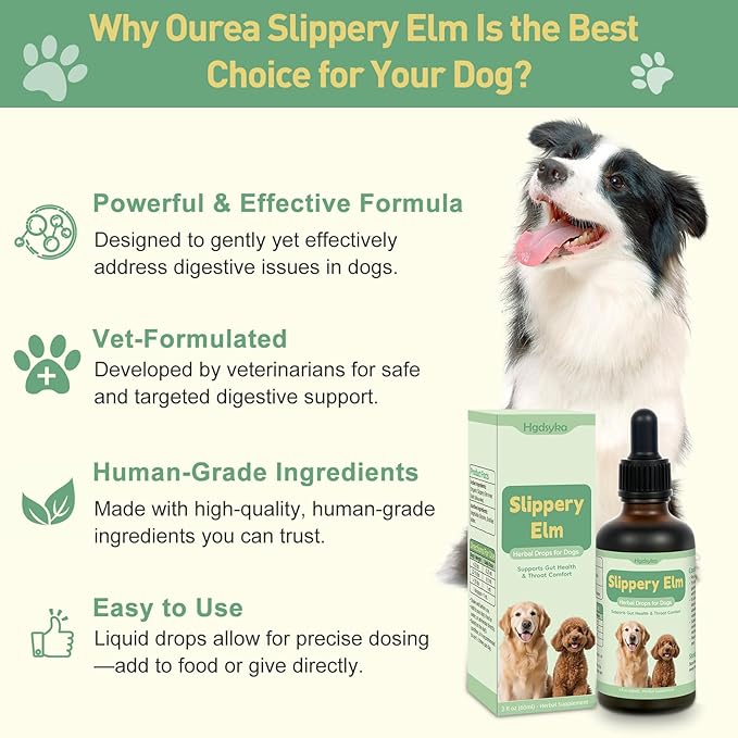Slippery Elm for Dogs, Organic Slippery Elm Inner Bark Extract Drops for Sensitive Stomach Dogs, Support Digestive Tract Gut Lining Throat Health Bowel Function, Herbal Liquid Formula 2 Fl Oz