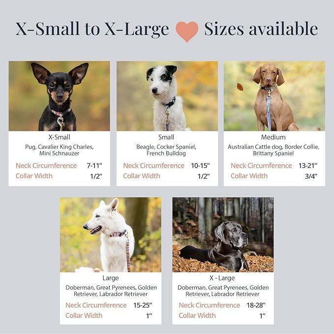 Lucky Love Dog - Adjustable Dog Collar with Easy Click Buckle for Small Dogs, Durable, & Comfortable for Male & Female Dogs, Pet Collar for Puppies & Adult Dogs - Blackbird, Small